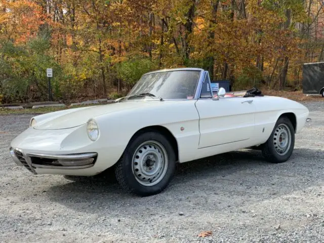 1967 alfa romeo spider duetto white good runner no reserve