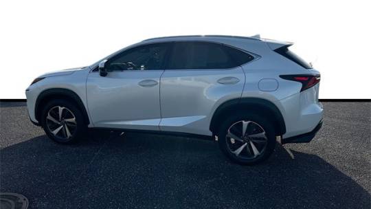 2021 Lexus NX