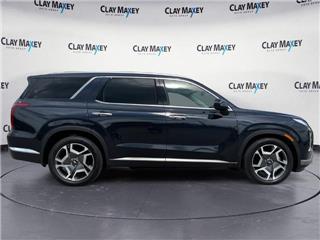 2023 Hyundai Palisade limited