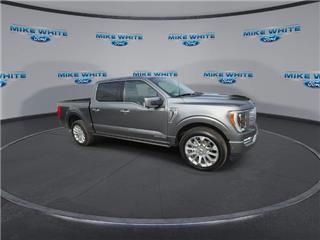 2023 Ford F-150 limited