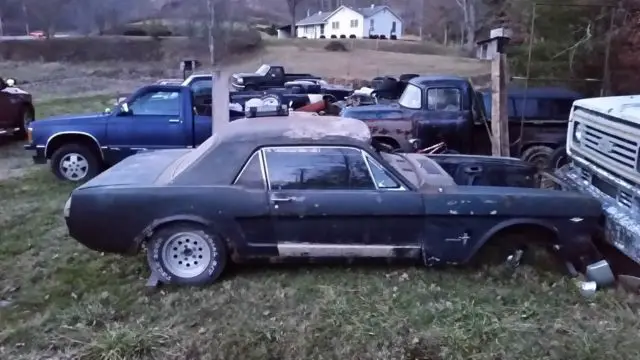 1965 ford musang