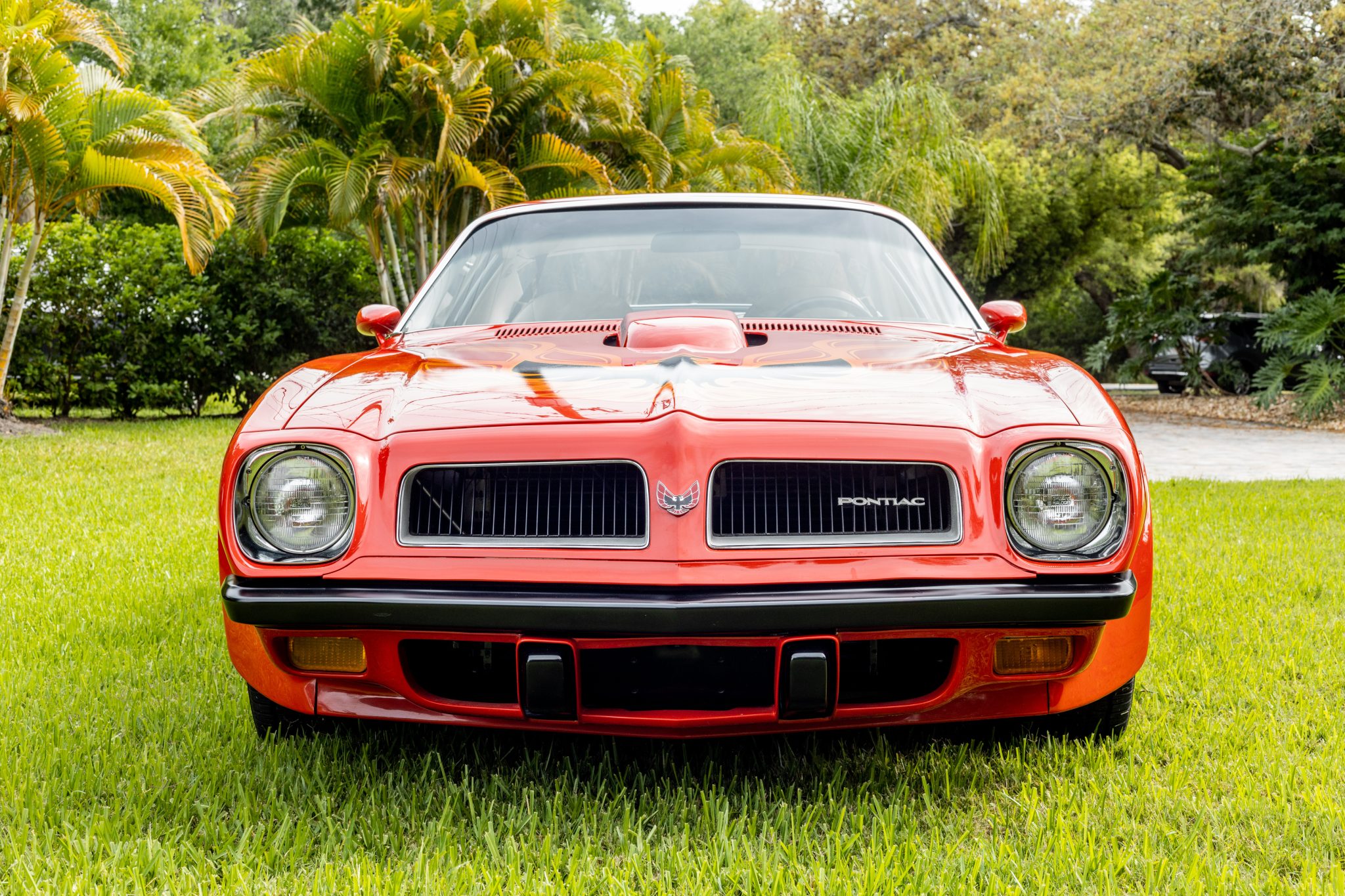1974 pontiac firebird trans am sd-455