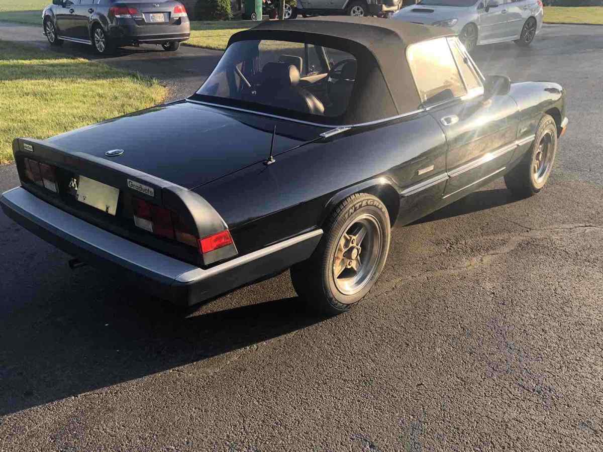 1988 alfa romeo spider convertible black rwd manual graduate