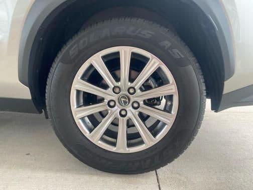 2020 lexus nx 300 in lexington, kentucky