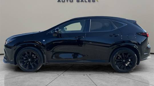 2022 Lexus NX
