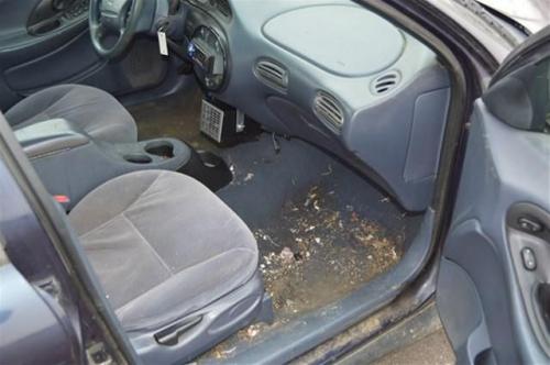 1999 ford taurus se in kentucky