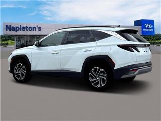 2025 Hyundai Tucson limited
