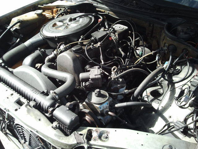 1984 mercedes-benz sd300