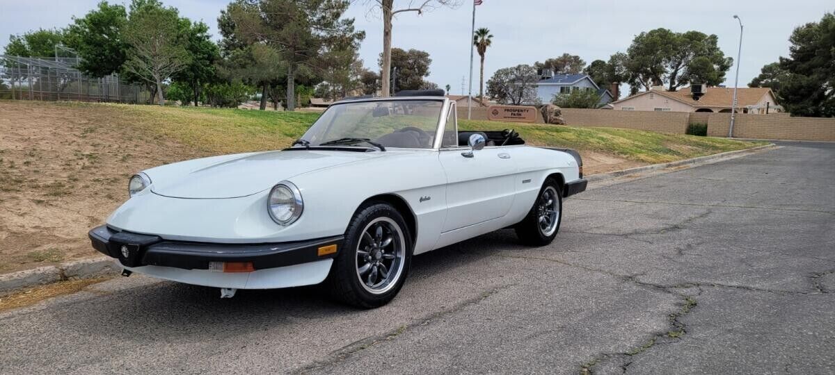 1989 alfa romeo spider