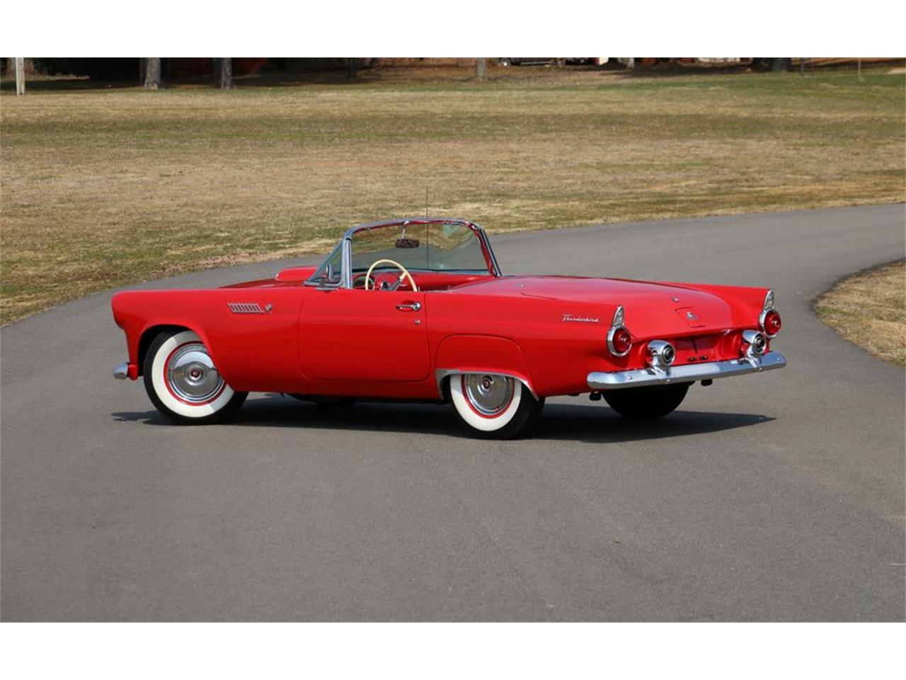 1955 ford thunderbird
