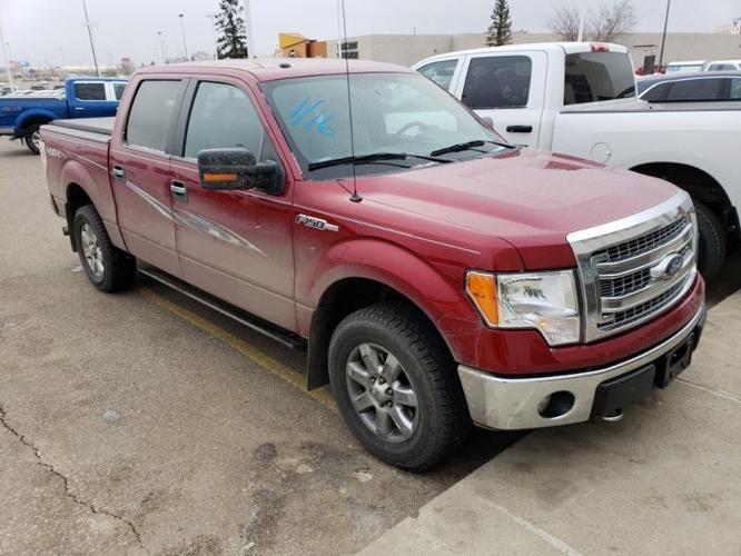 2013 ford f-150 xlt 4x4 xlt 4dr supercrew styleside 5.5 ft. sb for sale in bloom, north dakota
