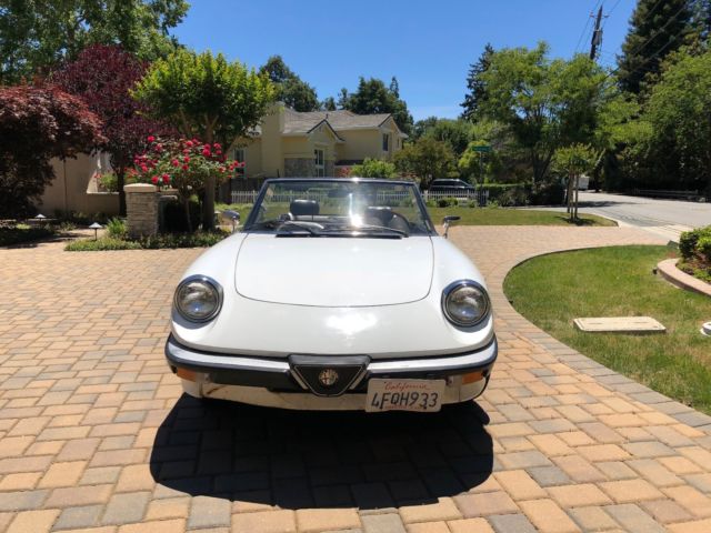 alfa romeo spider convertible