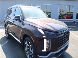 2025 Hyundai Palisade limited