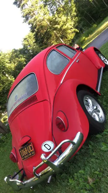 1965 beetle 6v matching #