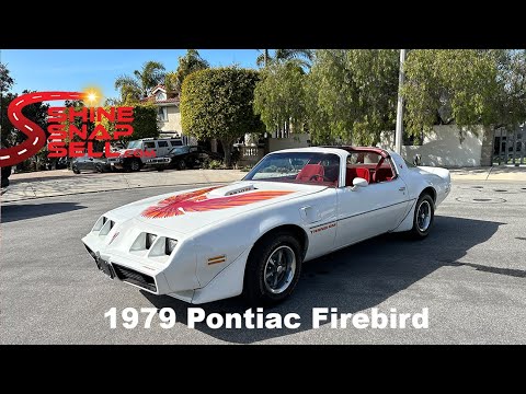 1979 pontiac firebird trans am
