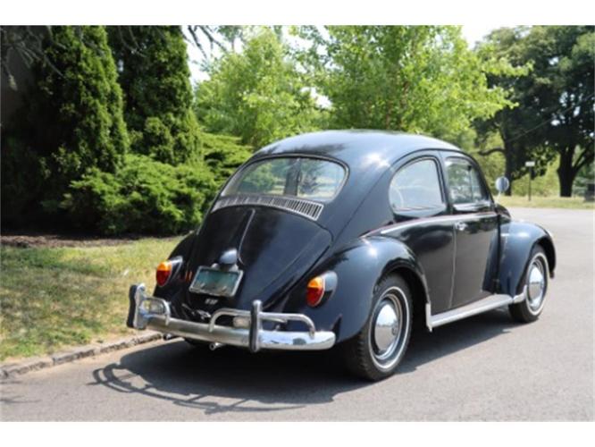 1963 volkswagen beetle in astoria, new york