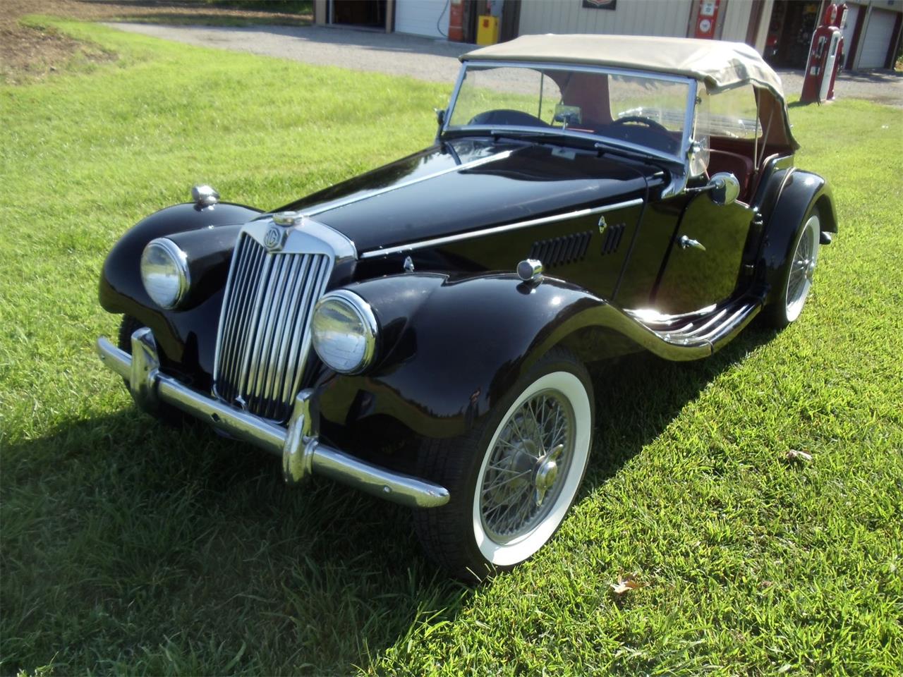 1954 mg tf