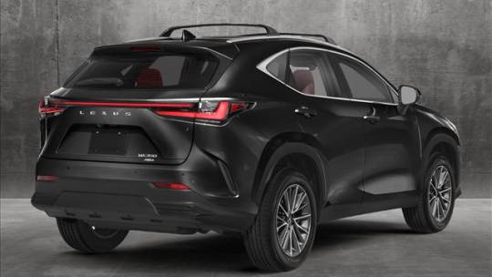 2025 Lexus NX