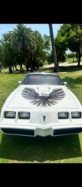1979 pontiac trans am coupe white rwd automatic t top