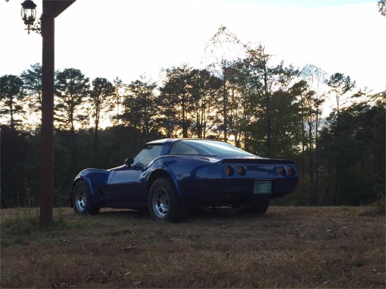 1981 chevrolet corvette
