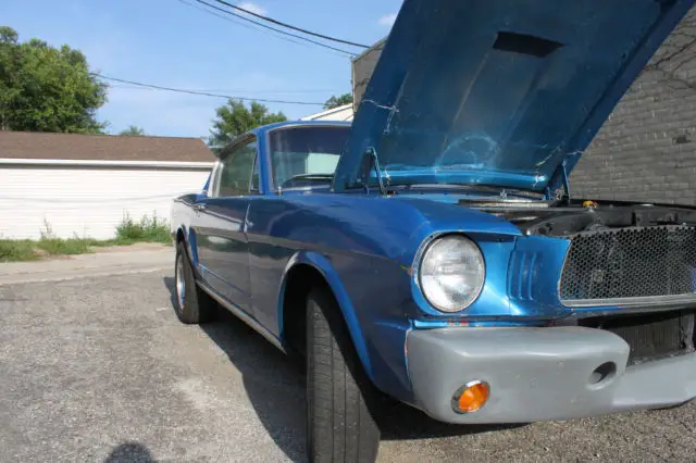 1965 ford mustang fastback 2+2 v8 shelby gt350 tribute no rust ever 289 cobra