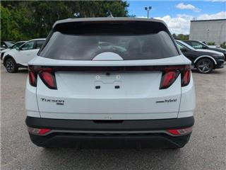2024 Hyundai Tucson blue