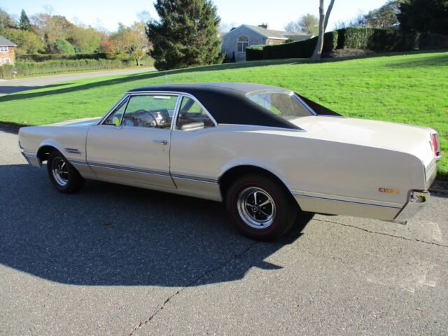 genuine 442 not a clone