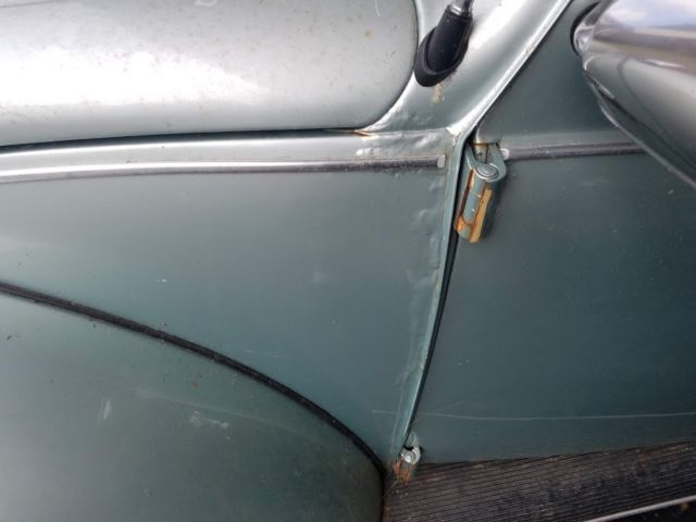 nice driving beetle