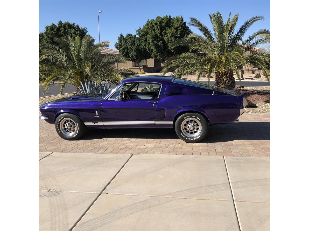 1967 shelby gt500