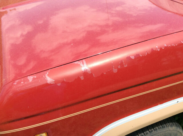 1988 ford bronco ii eddie bauer 2.9l