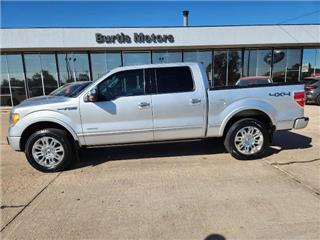 2012 Ford F-150 platinum