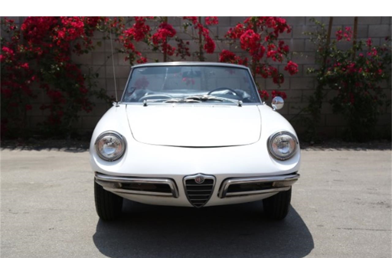 1967 alfa romeo duetto