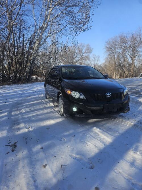 2010 toyota corolla