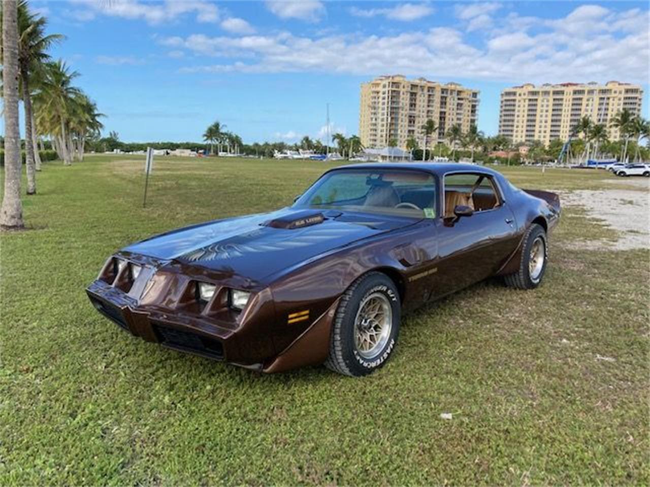 1979 pontiac firebird trans am