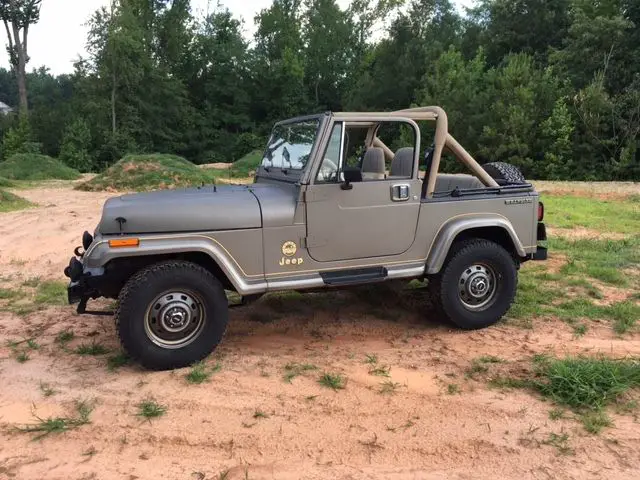 1989 jeep wrangler sahara 4.2 5spd ac only 63k miles !