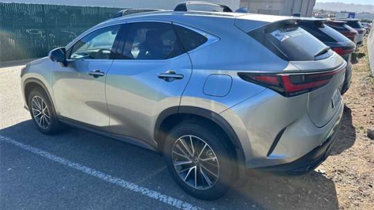 2024 Lexus NX