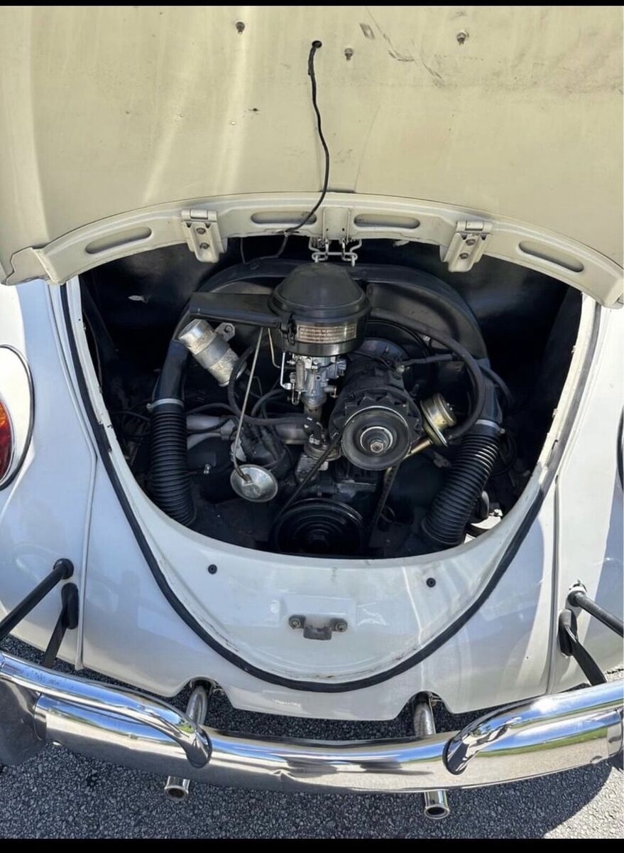 1967 volkswagen beetle grey