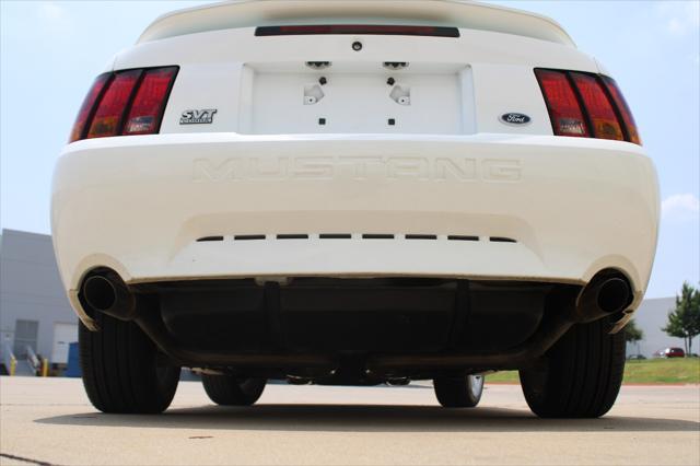 1999 ford mustang svt cobra