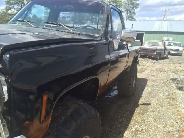 79' chevy short bed ***rare***