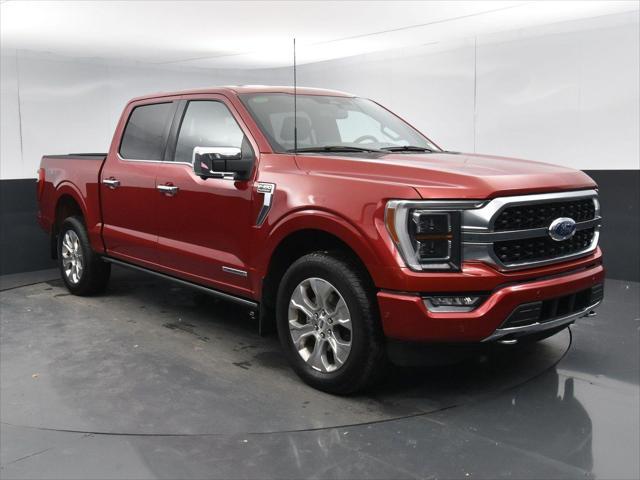 2023 ford f-150 platinum
