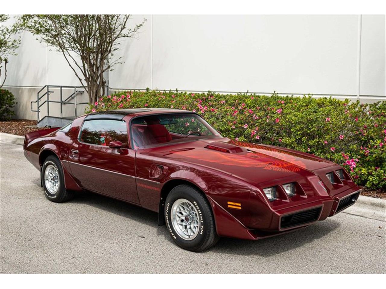 1981 pontiac firebird trans am