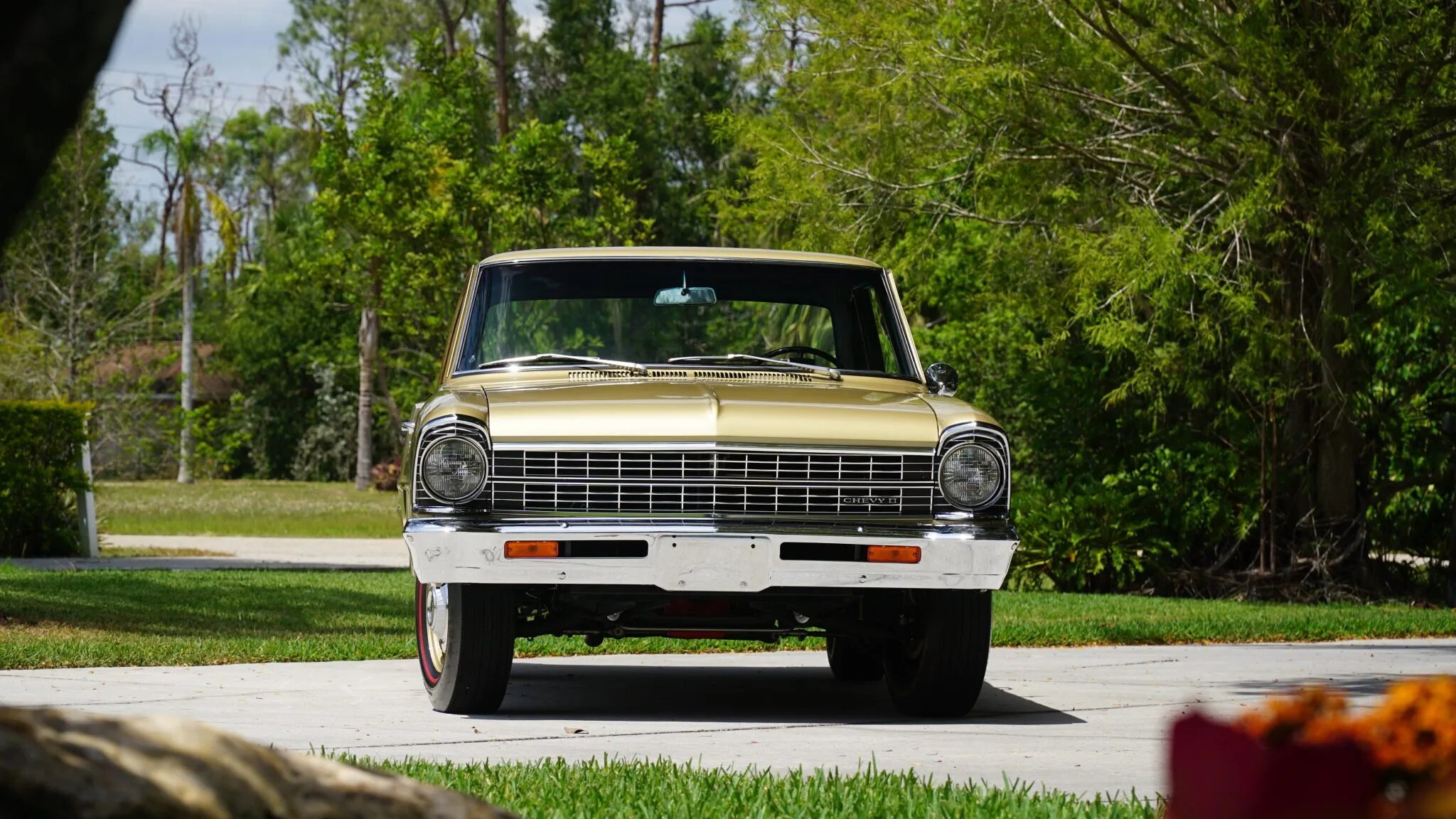 chevrolet nova