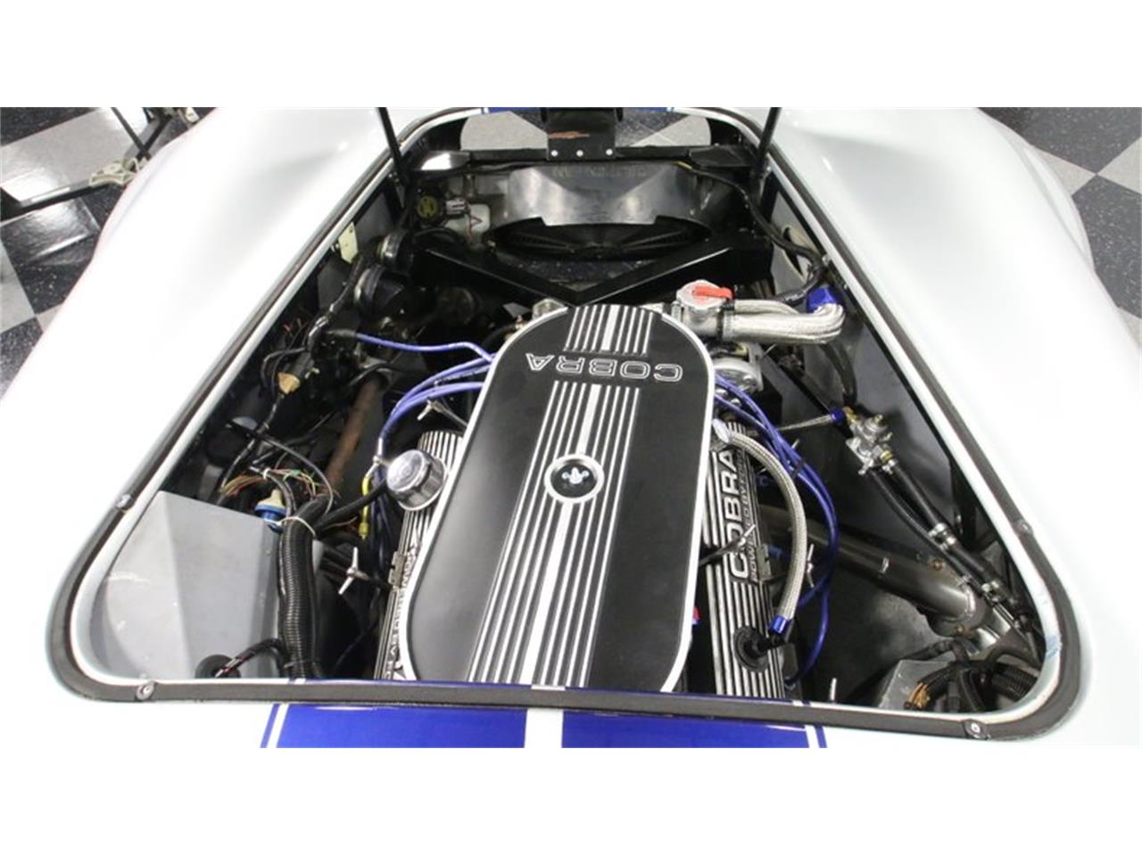 1965 shelby cobra