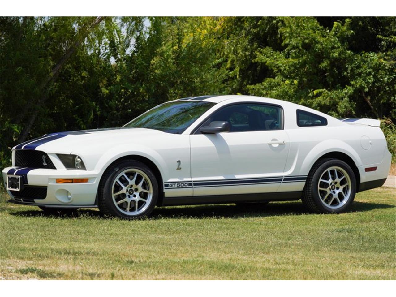 2008 ford shelby cobra