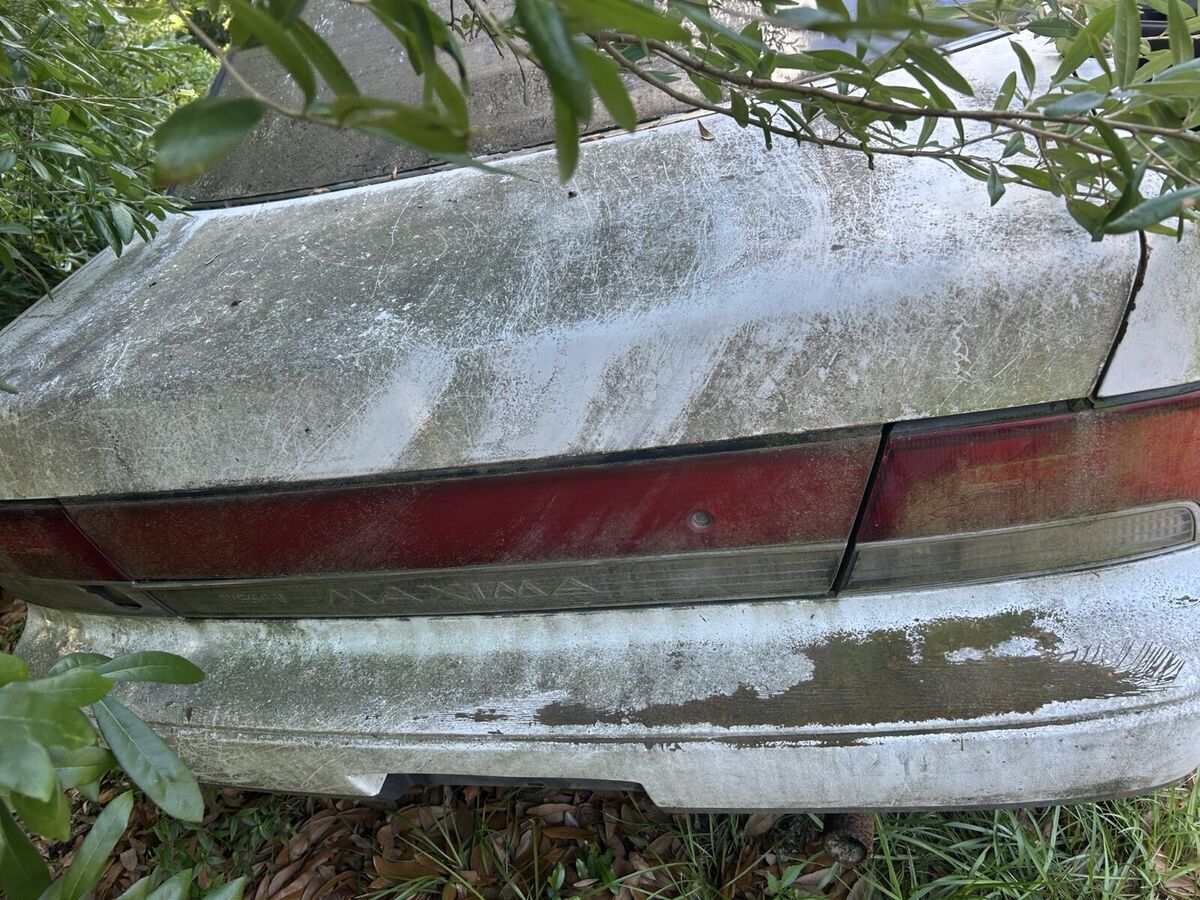 1993 nissan maxima white gxe