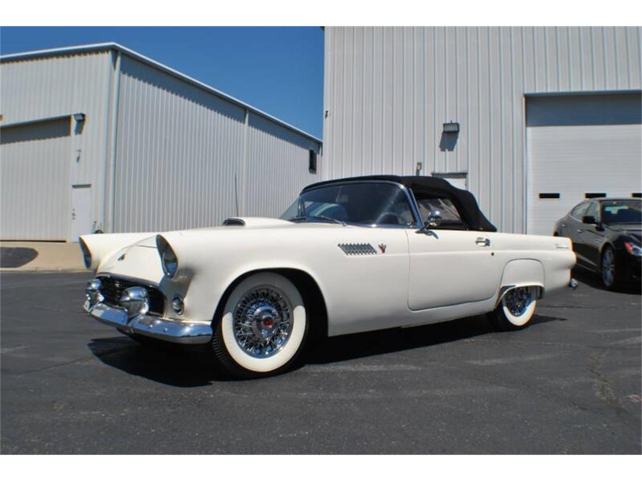 1955 ford thunderbird