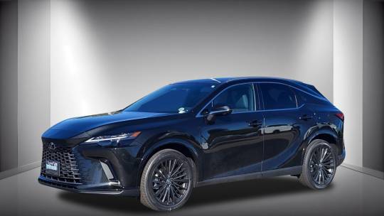 2024 Lexus RX