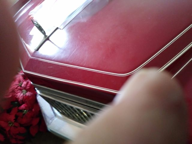 very nice cruiser