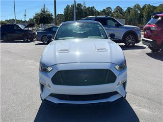 2023 Ford Mustang gt