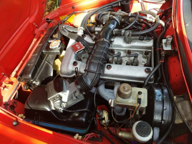 1982 alfa romeo spider